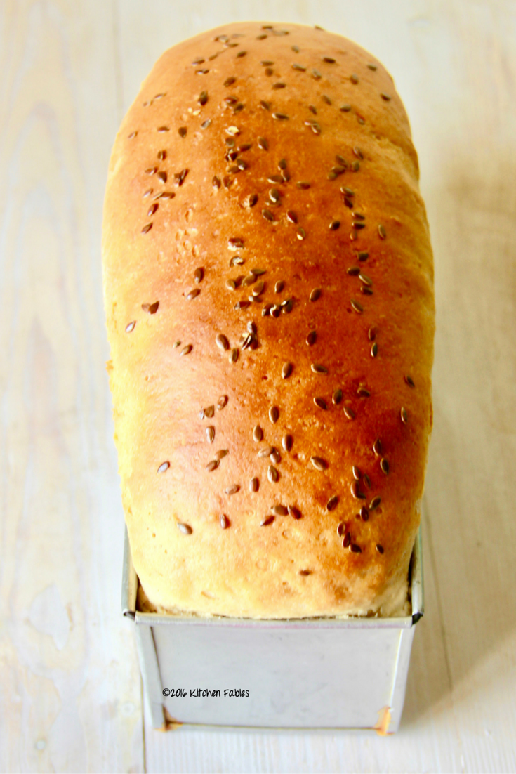 Easy Whole Wheat Bread Recipe